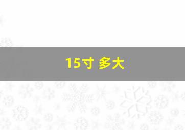 15寸 多大